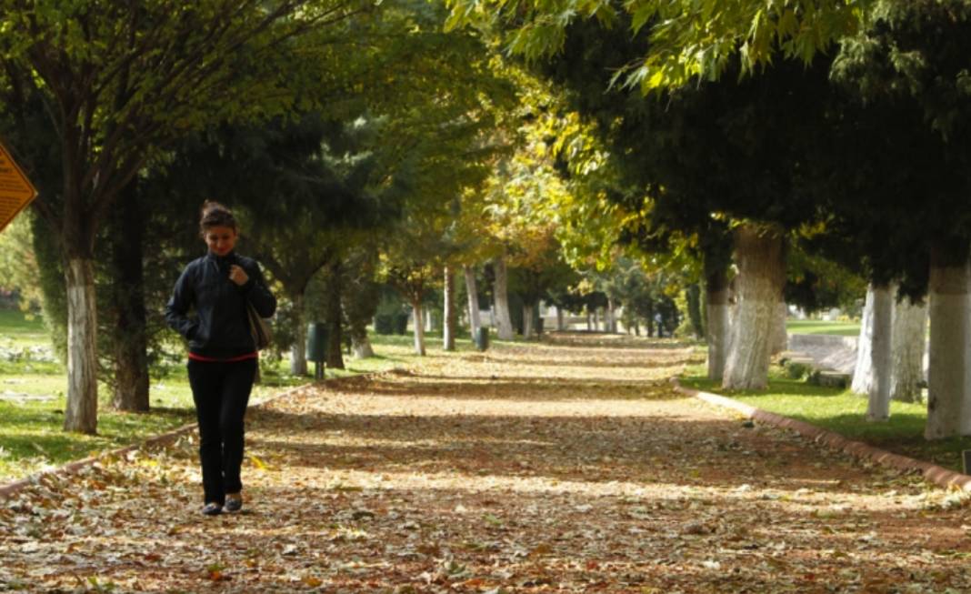 Gaziantep'te Gazel Depeleme Zamanı...  Gaziantep'e Has Gazel Depeleme Geleneği Nedir? 3